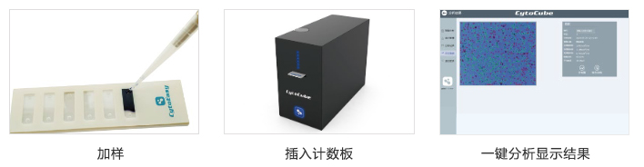 米立特细胞计数仪-小黑CytoCube