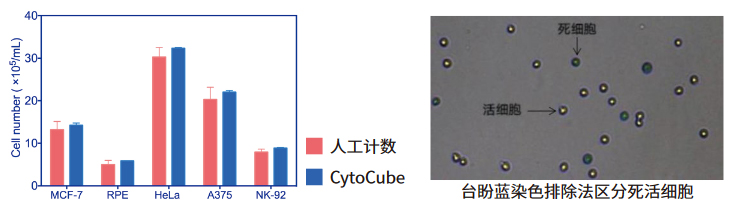 米立特细胞计数仪-小黑CytoCube