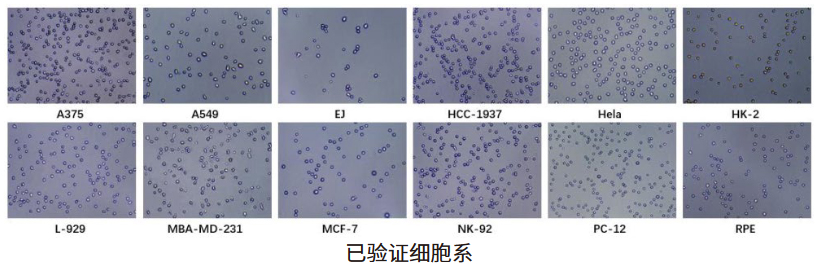 米立特细胞计数仪-小黑CytoCube