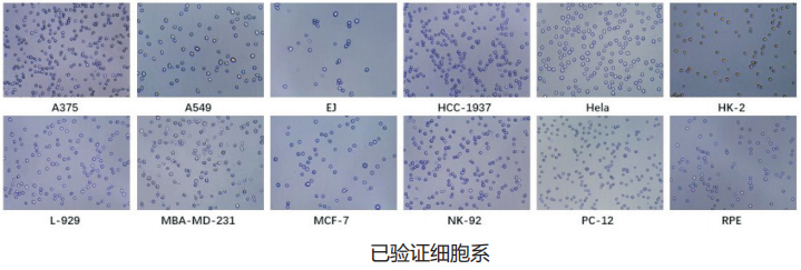 米立特全自动多视野细胞计数仪-CytoEasy