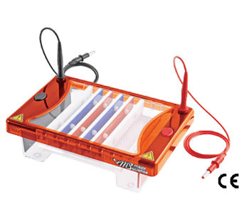中型水平电泳系统ME15-7-10-15