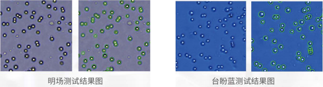 CytoCube Auto全自动便携细胞计数仪