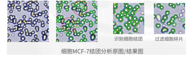 CytoCube Auto全自动便携细胞计数仪